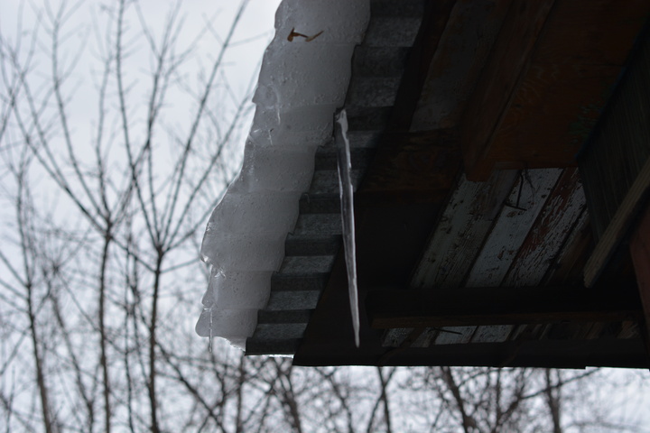Dist Photo 1