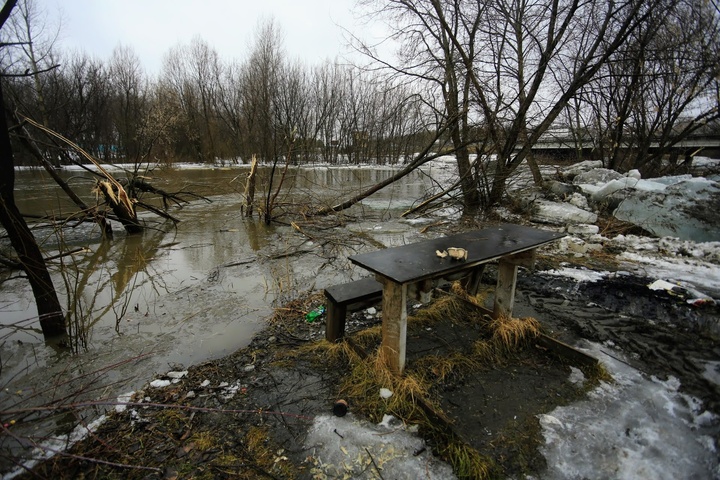 Dist Photo 1