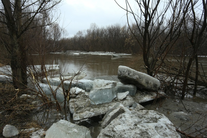 Dist Photo 1