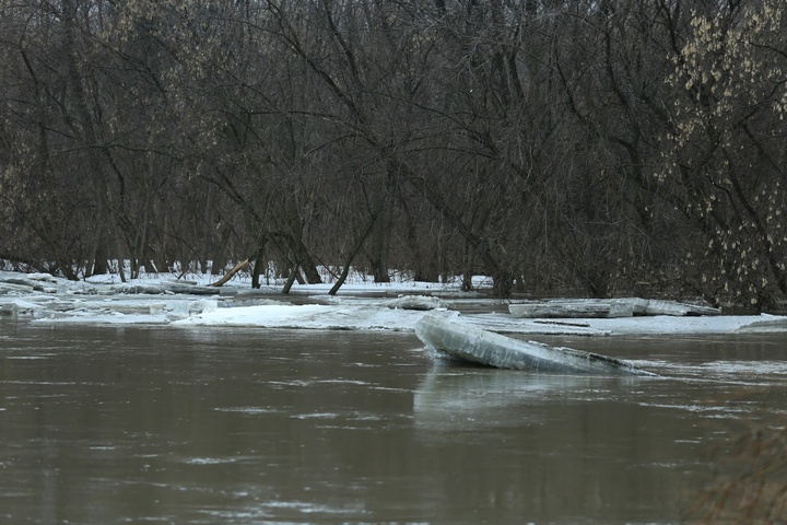 Dist Photo 1