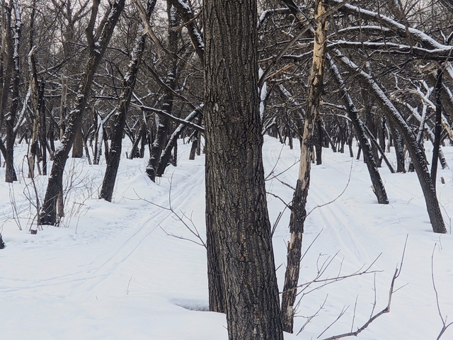 Dist Photo 1