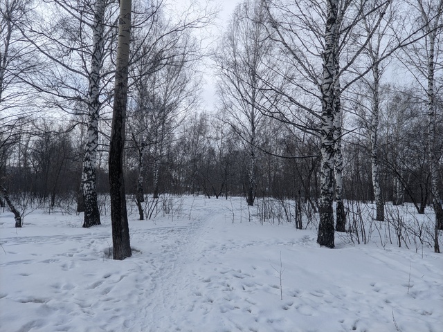 Dist Photo 1
