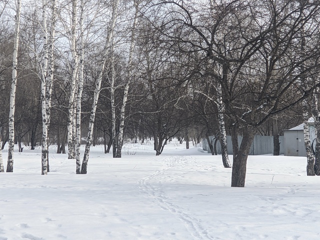 Dist Photo 1