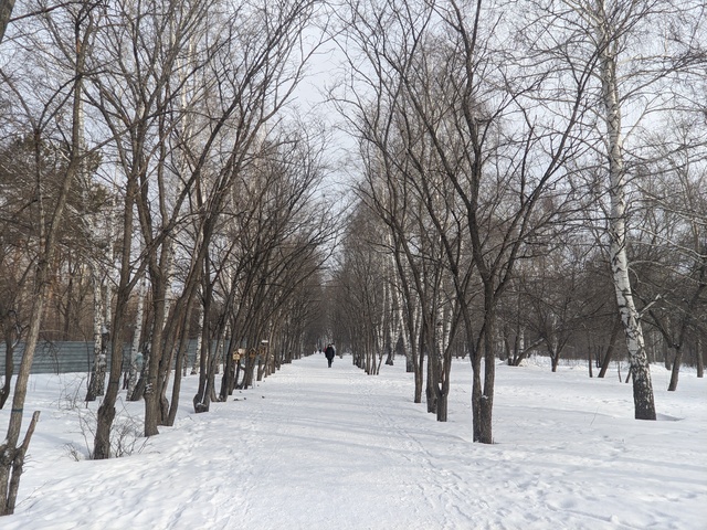 Dist Photo 1