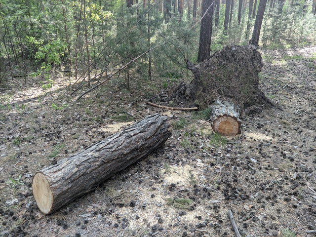Dist Photo 1