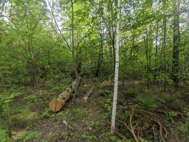 Dist Photo 1