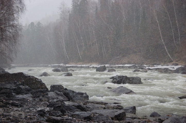 Dist Photo 1