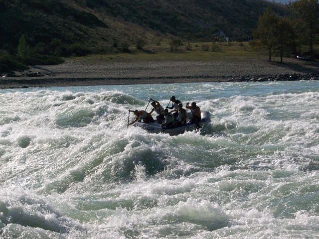 Dist Photo 1