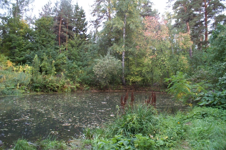 Dist Photo 1