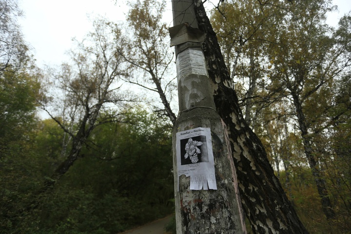 Dist Photo 1