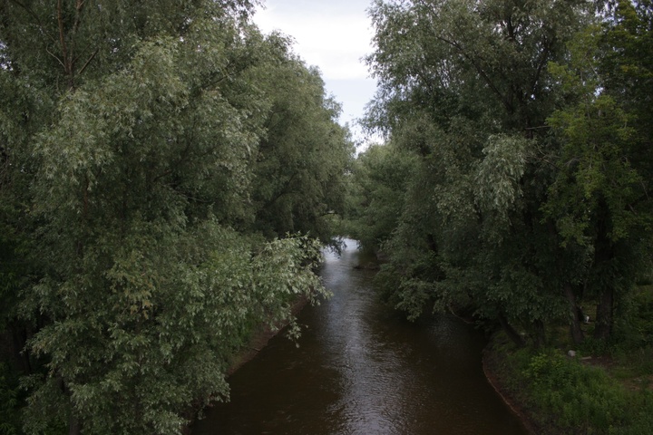 Dist Photo 1