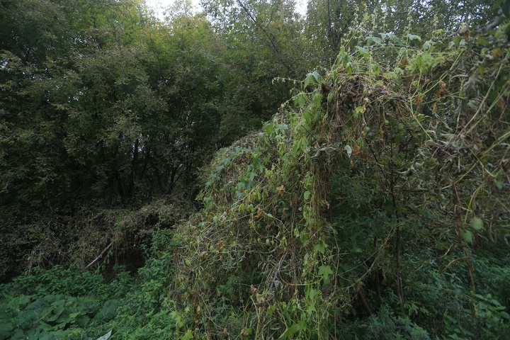 Dist Photo 1