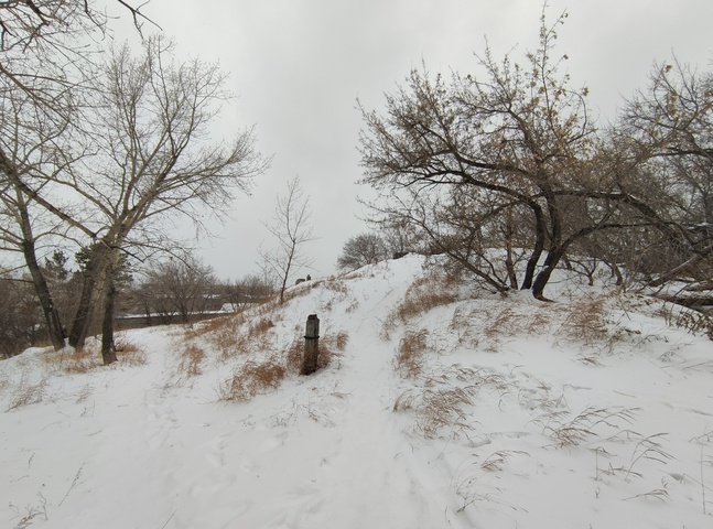Dist Photo 1