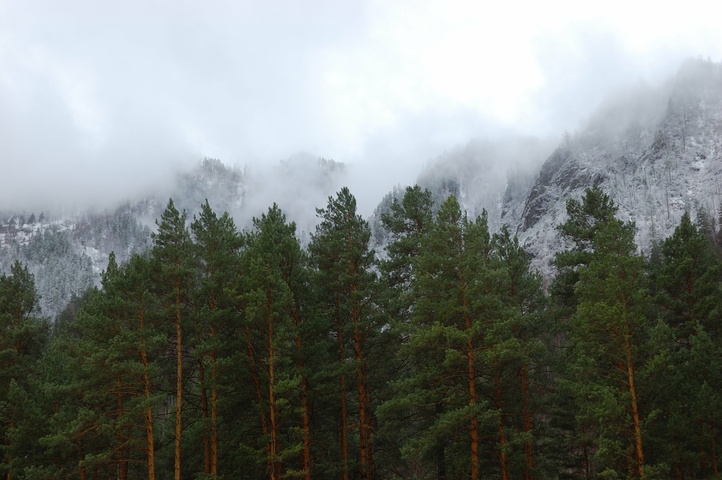 Dist Photo 1