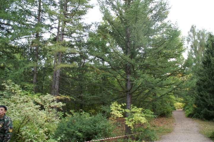 Dist Photo 1
