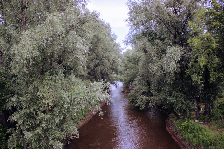 Dist Photo 1