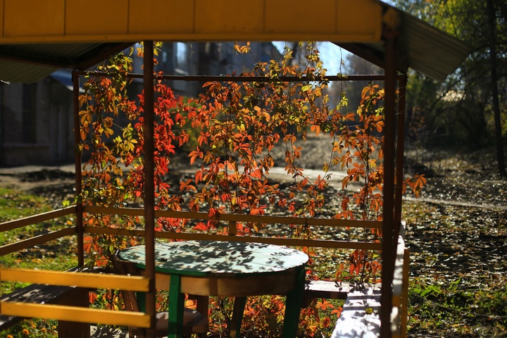 Dist Photo 1