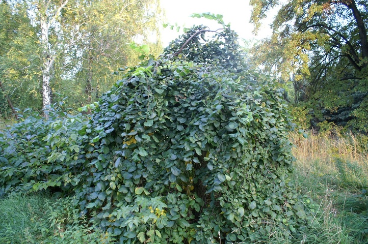 Dist Photo 1