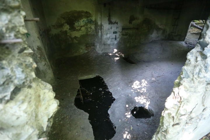 Dist Photo 1