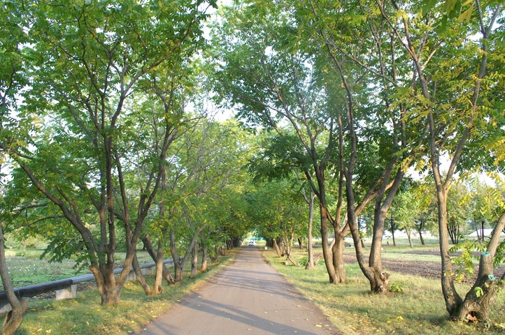 Dist Photo 1
