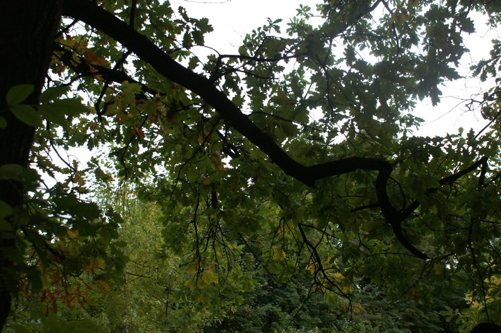 Dist Photo 1