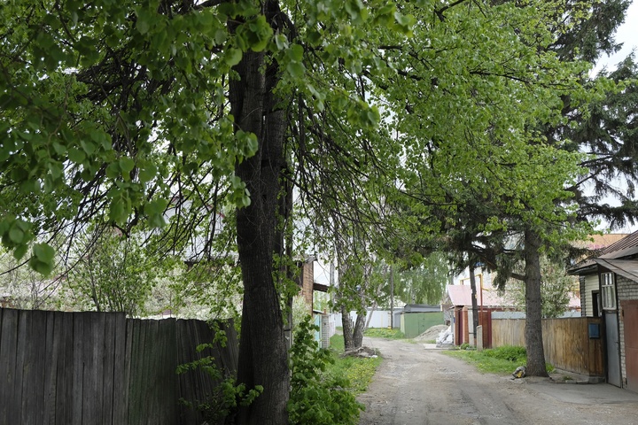 Dist Photo 1