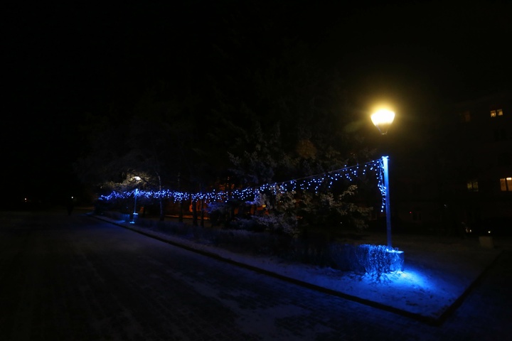Dist Photo 1