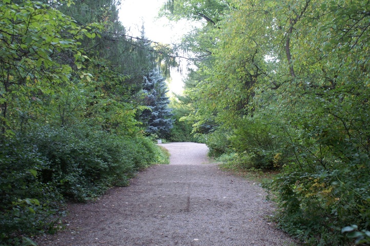Dist Photo 1