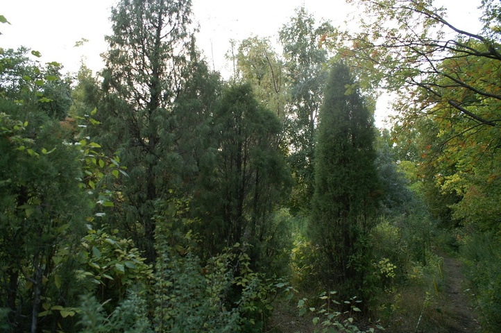 Dist Photo 1