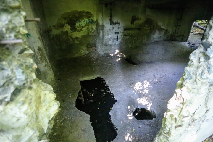 Dist Photo 1