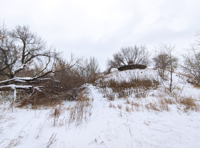 Dist Photo 1