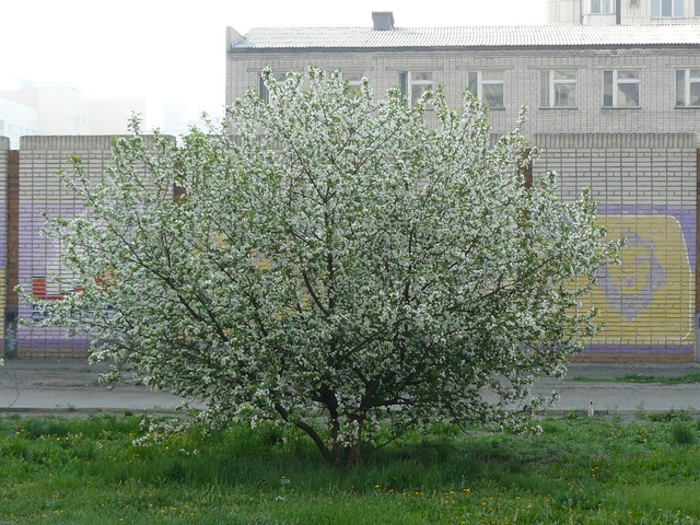 Dist Photo 1