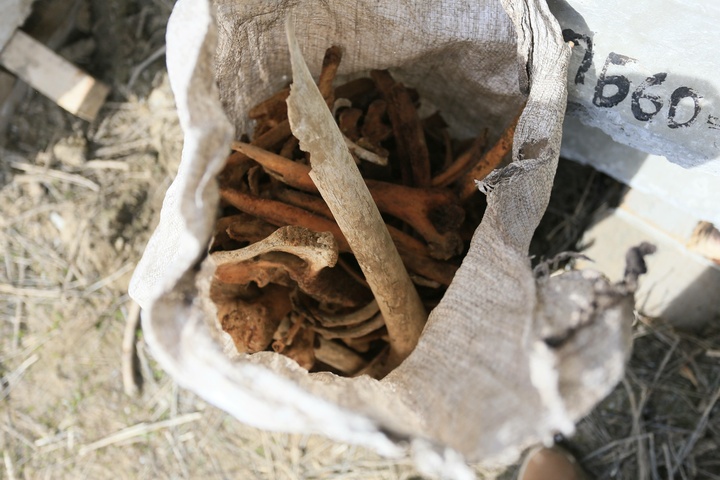 Dist Photo 1