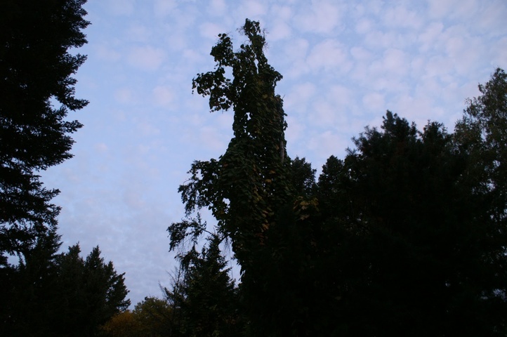 Dist Photo 1