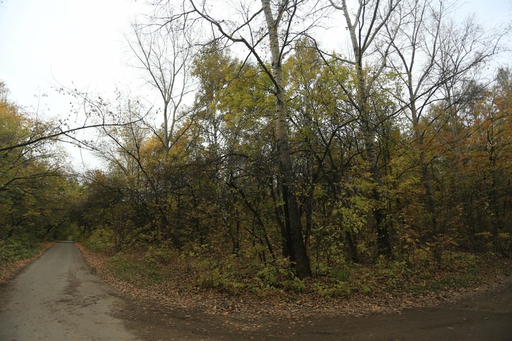 Dist Photo 1