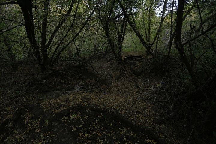 Dist Photo 1