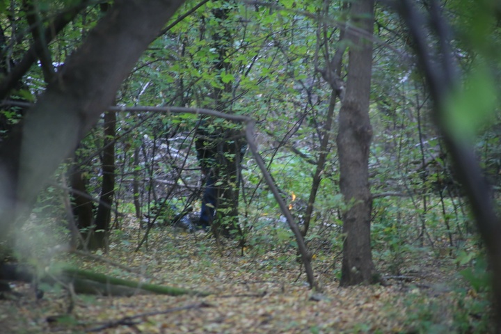 Dist Photo 1