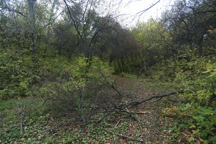 Dist Photo 1