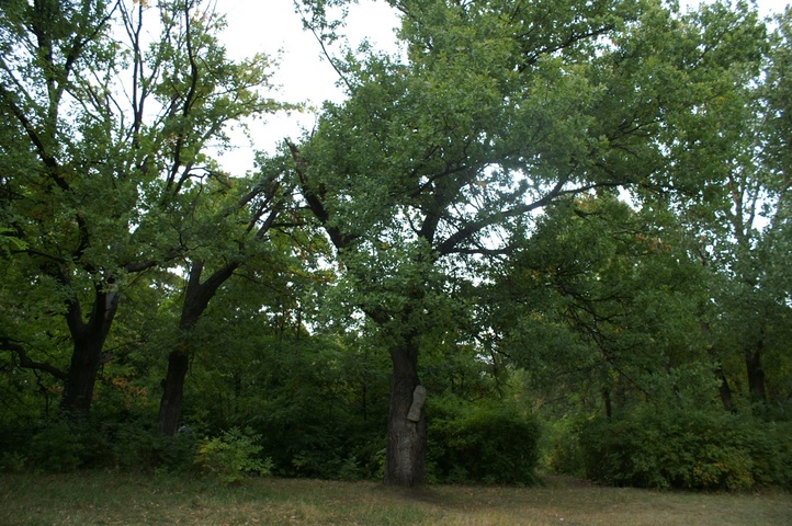 Dist Photo 1