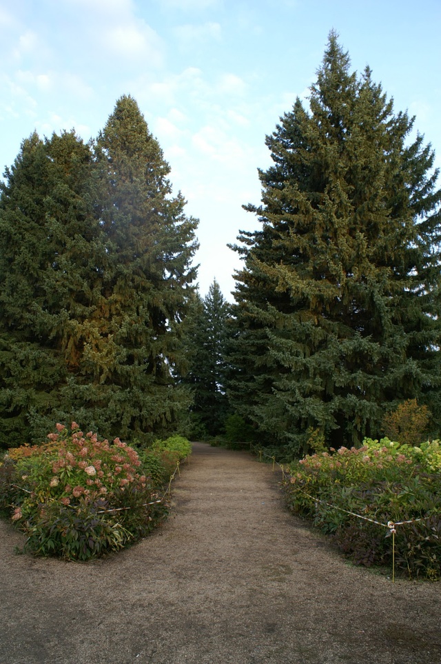 Dist Photo 1