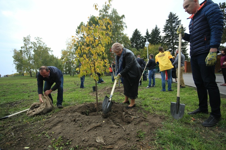 Dist Photo 1